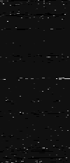 MTVZA-30.png